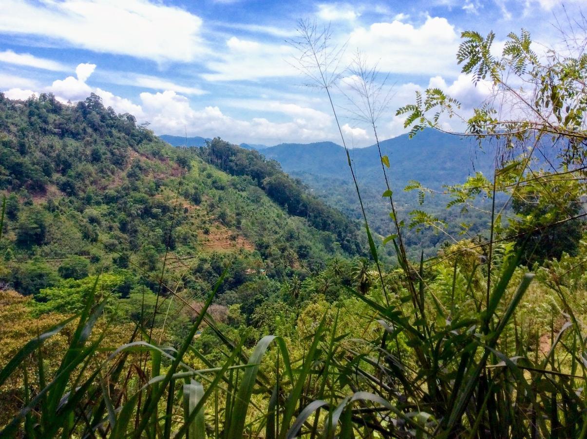 Natural Mystic Sanctuary Deniyaya Bagian luar foto