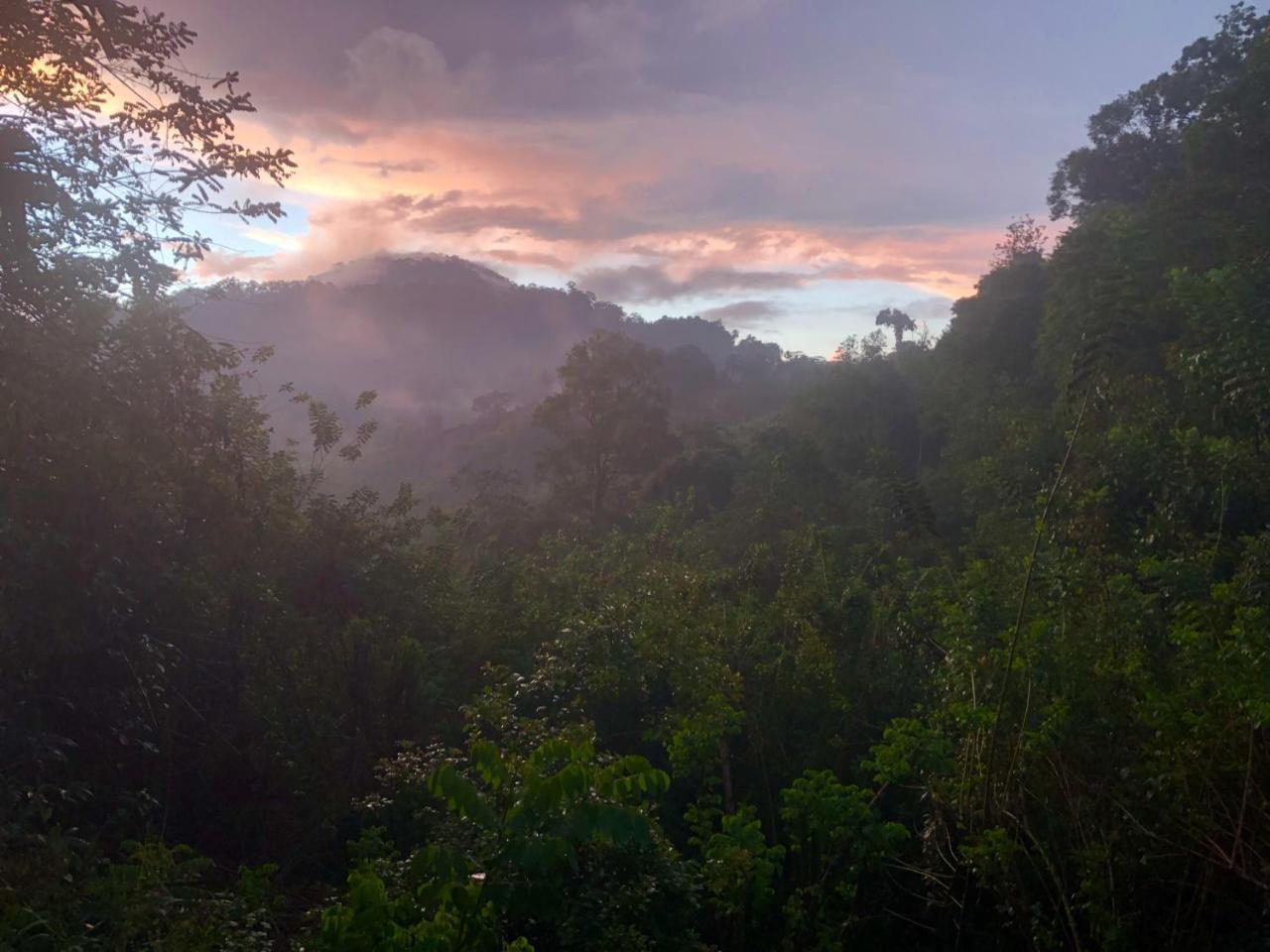 Natural Mystic Sanctuary Deniyaya Bagian luar foto