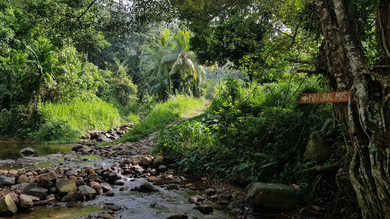 Natural Mystic Sanctuary Deniyaya Bagian luar foto