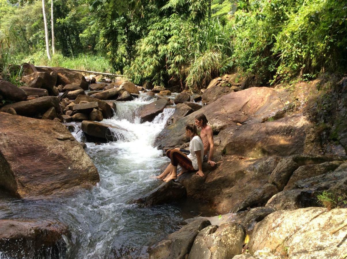 Natural Mystic Sanctuary Deniyaya Bagian luar foto