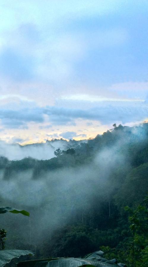 Natural Mystic Sanctuary Deniyaya Bagian luar foto