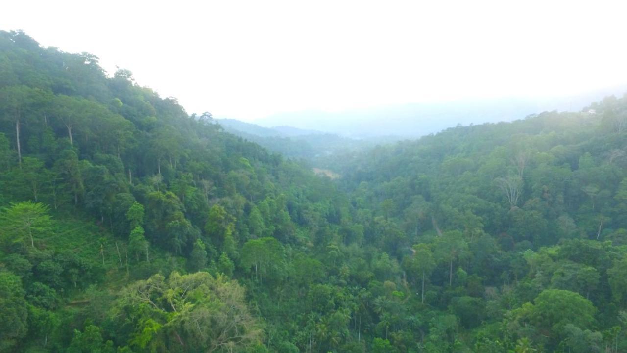 Natural Mystic Sanctuary Deniyaya Bagian luar foto